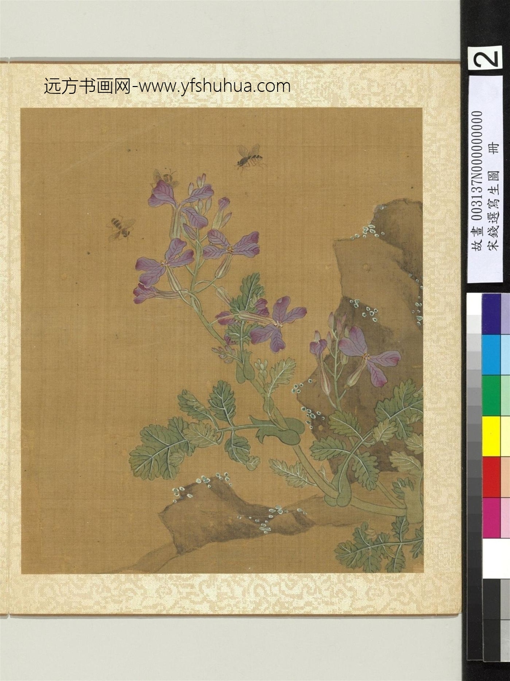 宋_钱选_宋写生图册　花草蜜蜂_0
